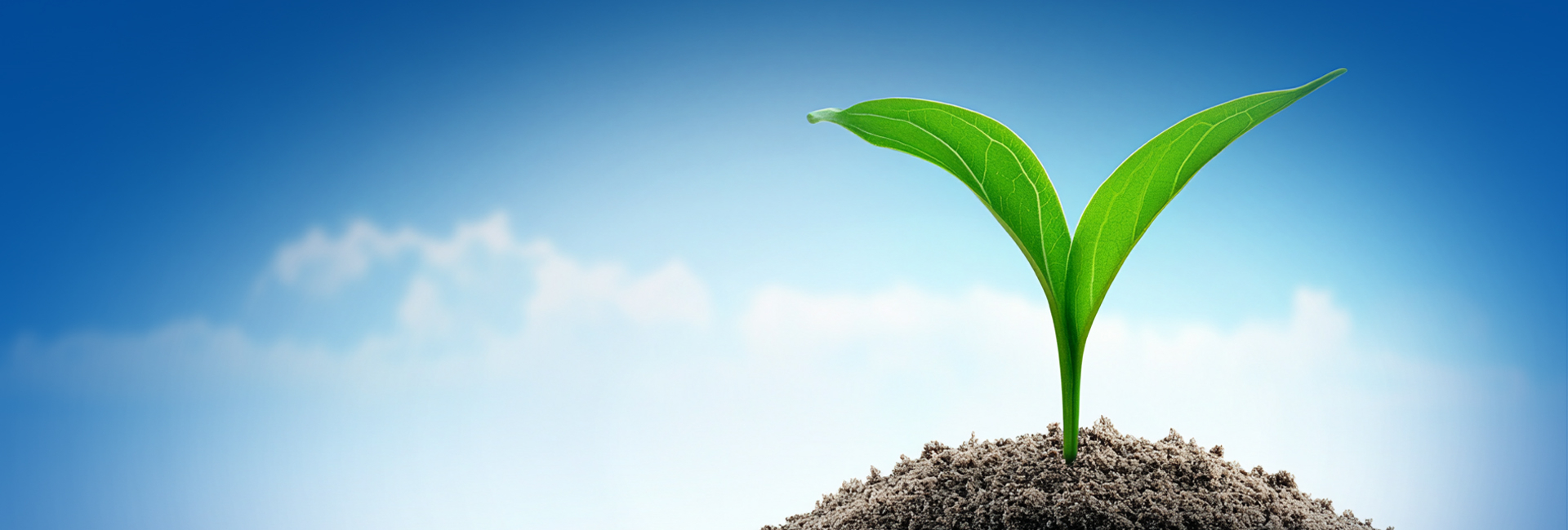 旋乐吧(中国)有限公司官网